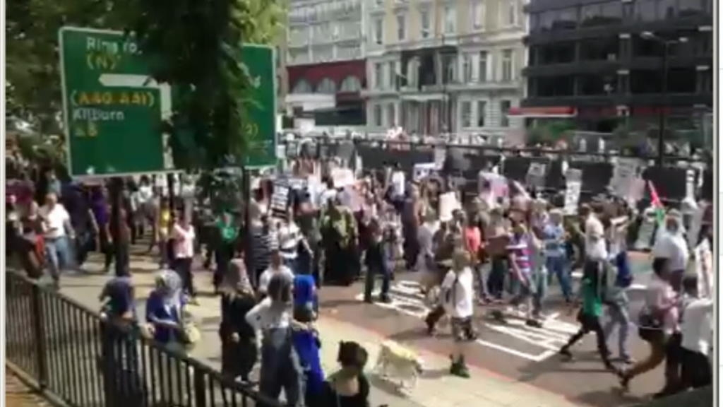 Betoging In Brussel Tegen Oorlog In Gaza Loopt Uit De Hand Brussel