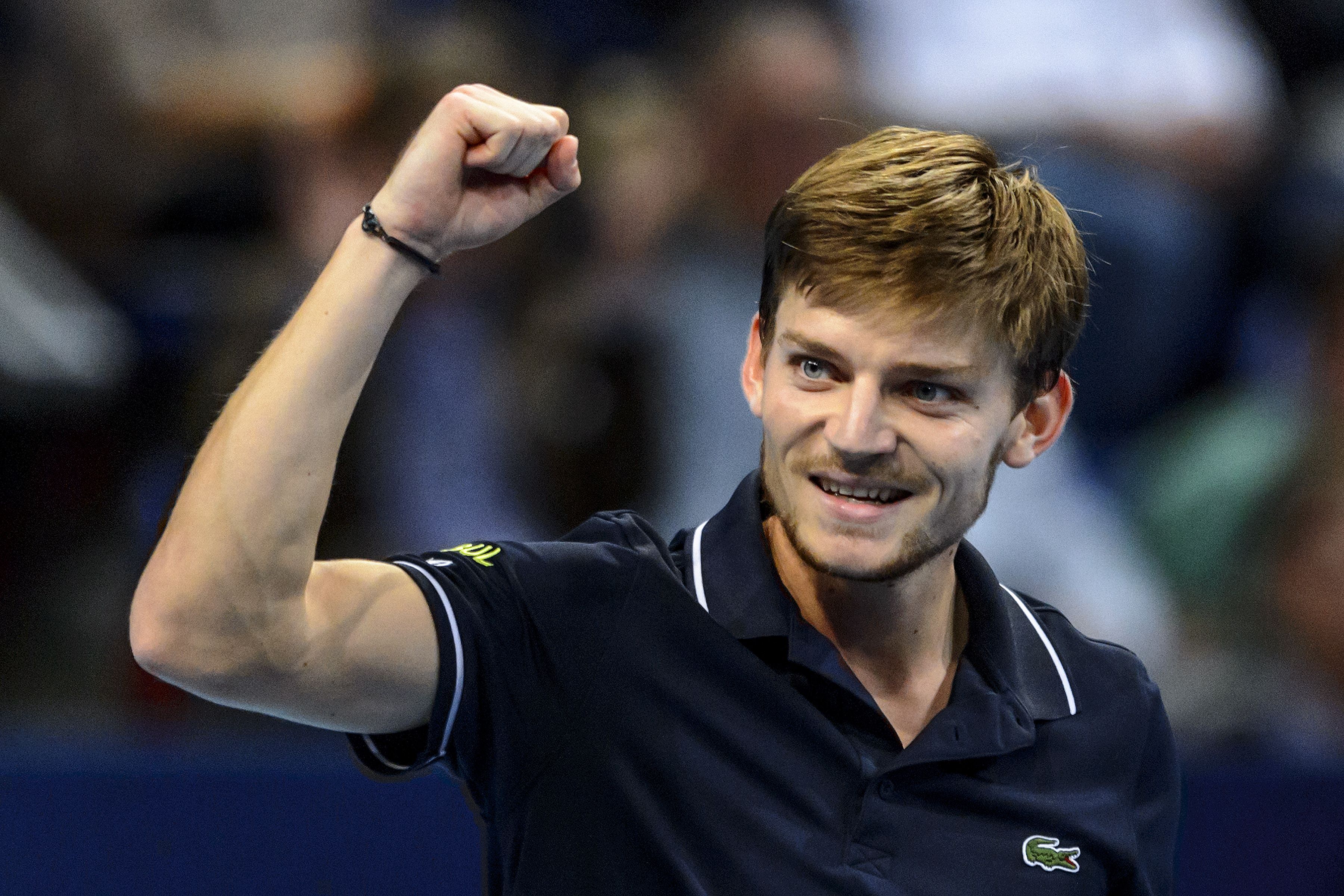 Goffin david