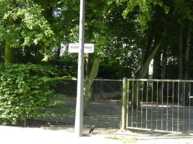 Aannemer maakt pijnlijke uitschuiver met plaatsen van verlichtingspaal