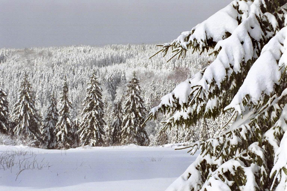 In de Ardennen dromen ze wel al van een witte kerst - Gazet van Antwerpen