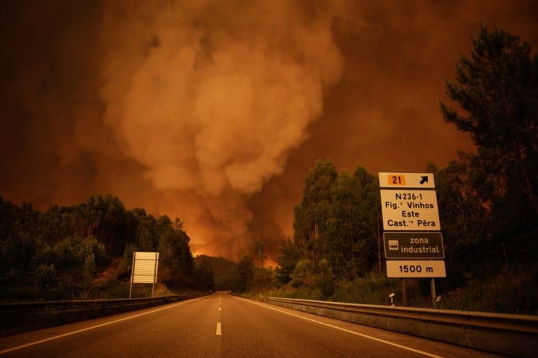 Dodental blijft oplopen: 62 doden bij hevige bosbranden in Portugal