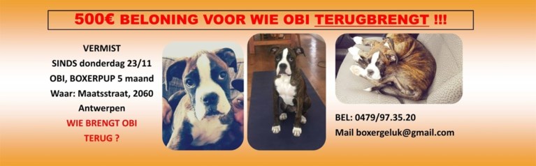 Eigenaars loven 500 euro uit aan vinder van hun vermiste hond