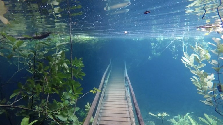 Hevige stortbui tovert natuurpark om tot mystieke onderwaterwereld