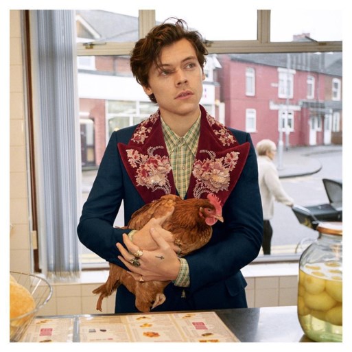 Harry Styles ontpopt zich tot dierenvriend in absurde Gucci-campagne