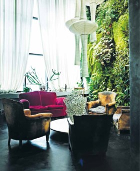 Je kan nooit te veel planten hebben: met deze tips blijven ze het hele jaar mooi
