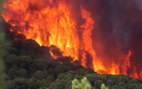 Officieel: tweede hittegolf in één zomer in ons land