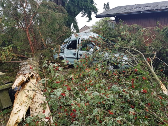 Onweer veroorzaakte vooral schade in Wallonië: minitornado en verschillende scoutskampen ontruimd