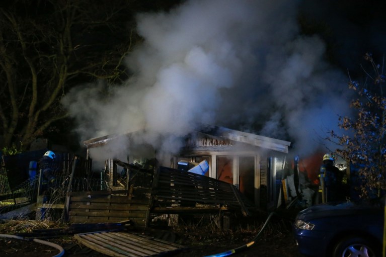 Houten chalet uitgebrand in Schilde, drie honden gered