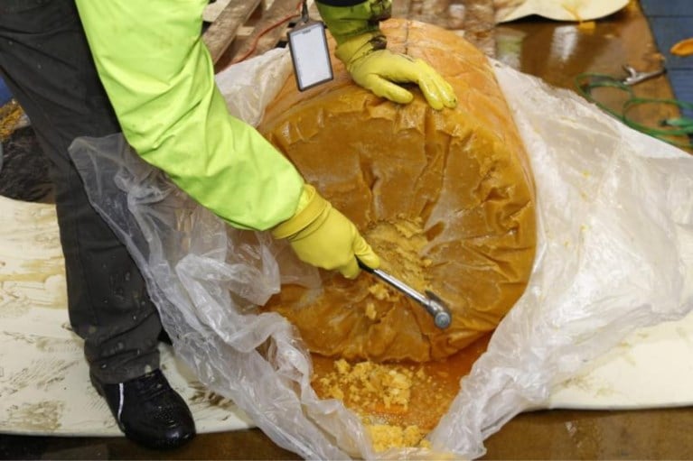 Gangsters op heterdaad betrapt bij overladen partij cocaïne: drugs zat verstopt in fruitpulp
