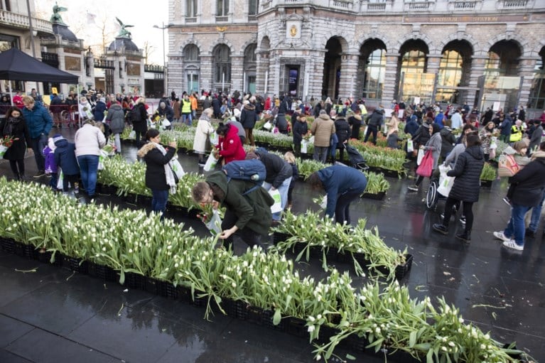 Gratis tulpen-pluktuin op Astridplein lokt veel volk