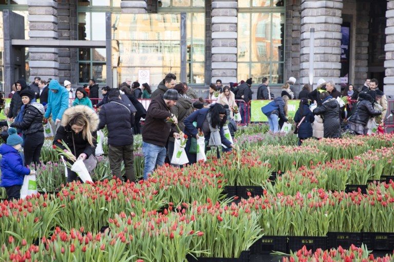Gratis tulpen-pluktuin op Astridplein lokt veel volk