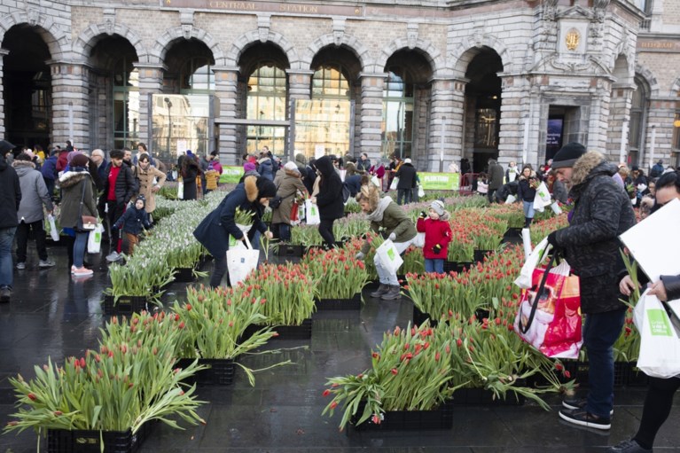 Gratis tulpen-pluktuin op Astridplein lokt veel volk