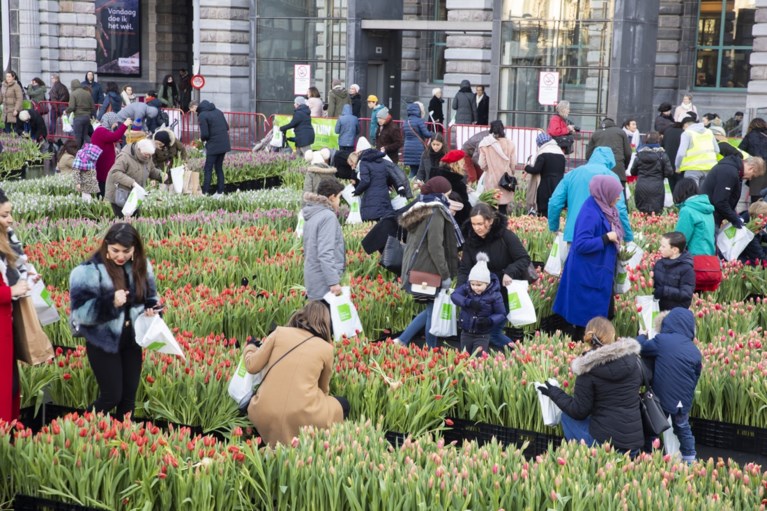 Gratis tulpen-pluktuin op Astridplein lokt veel volk