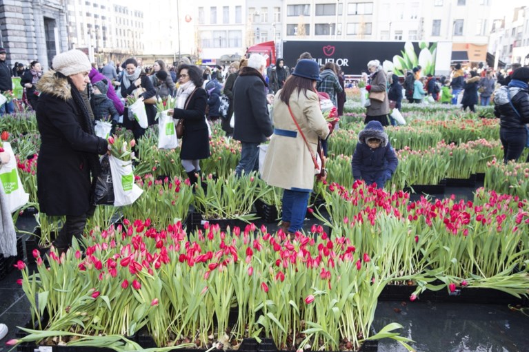 Gratis tulpen-pluktuin op Astridplein lokt veel volk