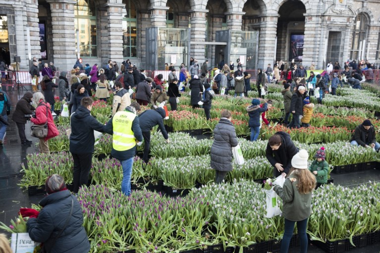 Gratis tulpen-pluktuin op Astridplein lokt veel volk