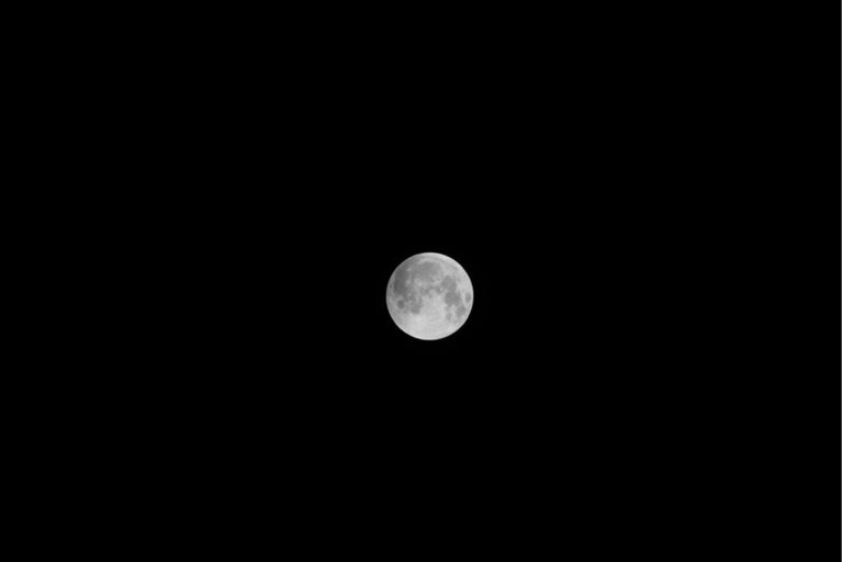 IN BEELD. Zo toonde de bloedmaan zich deze morgen in alle pracht: uniek schouwspel aan de hemel