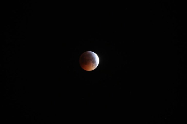 IN BEELD. Zo toonde de bloedmaan zich deze morgen in alle pracht: uniek schouwspel aan de hemel
