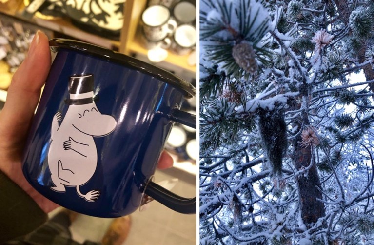 Noorderlicht, husky's en cardio op latten: tips voor een reis in Lapland