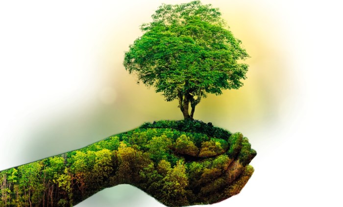 Tien vragen over het klimaat: hoe belastend is vliegen voor het milieu? Danken we de hete zomer aan het klimaat? Wat kan jij doen?