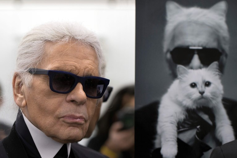 Lagerfeld zijn meest begeerde muze: Choupette