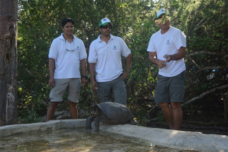 Uitgestorven gewaande reuzenschildpad opgedoken op Galapagos