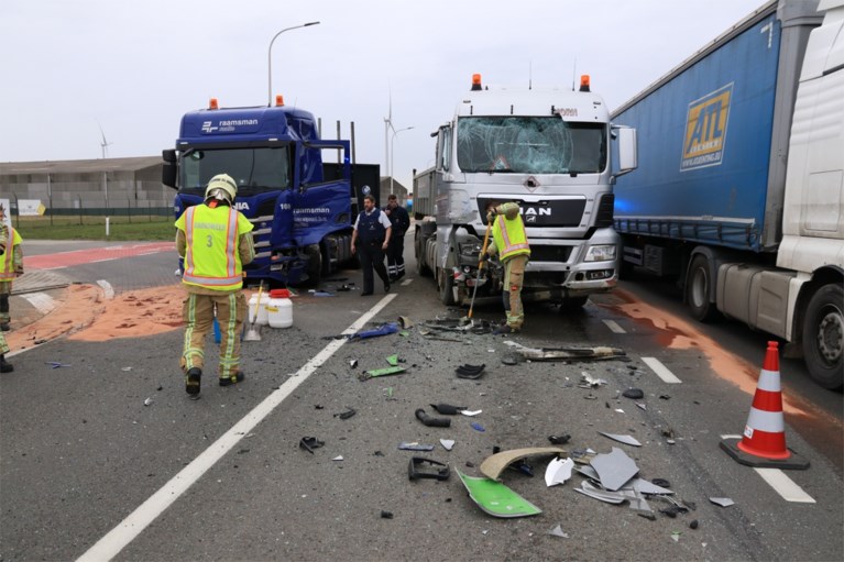 Vrachtwagens rijden op elkaar in Waaslandhaven, één chauffeur naar ziekenhuis