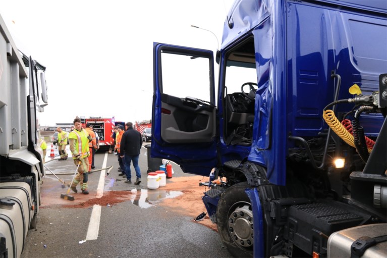 Vrachtwagens rijden op elkaar in Waaslandhaven, één chauffeur naar ziekenhuis
