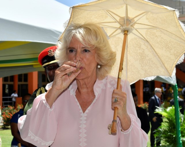 ROYALS. Prins Harry heeft er een belangrijke taak bij. En prins Charles brengt wereldster aan het lachen