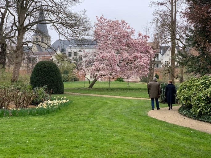 Kardinaal De Kesel stelt zijn prachtige tuin open voor publiek: “Voor mij alleen is hij een beetje groot”