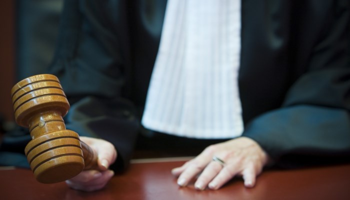RECHTBANK: “Mijn hond sprong op mijn arm, daarom ben ik gebotst”