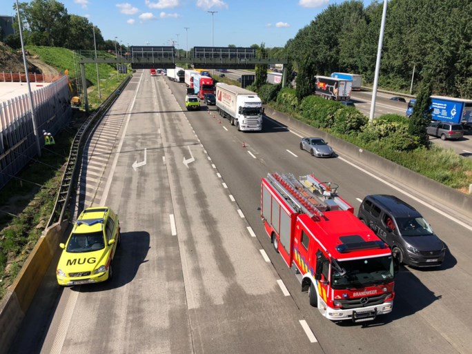 Schoolbus met 47 kleuters betrokken bij ongeval op Antwerpse Ring, Liefkenshoektunnel tolvrij