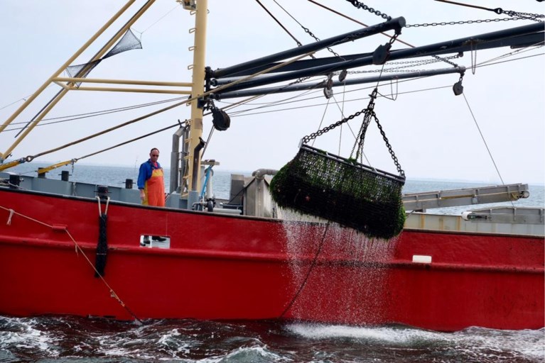 ‘Mosselverslaafde’ Johan Boskamp mag startschot geven voor karavaan met 500 ton verse mosselen