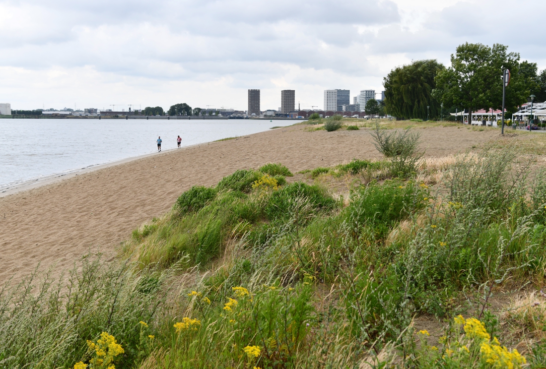 BUURTREPORTAGE. Stad wil van Sint-Anna Plage opnieuw ...