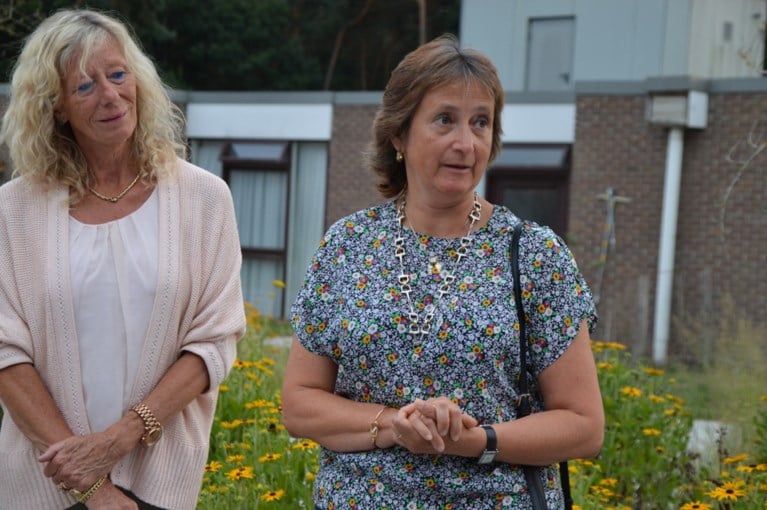 Belle époque-picknick tussen oldtimers: Lions Club Minerva mikt op duizenden bezoekers