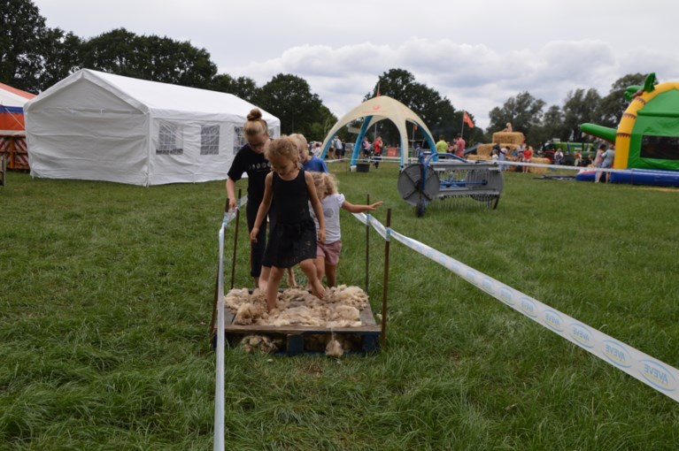 Jarige Landelijke Gilde zorgt voor geweldig dorpsfeest