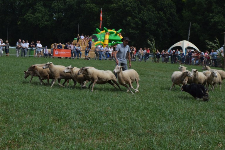 Jarige Landelijke Gilde zorgt voor geweldig dorpsfeest