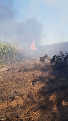 Belgische F-16 stort neer in Frankrijk: ook piloot die aan hoogspanningskabel hing, is slechts lichtgewond