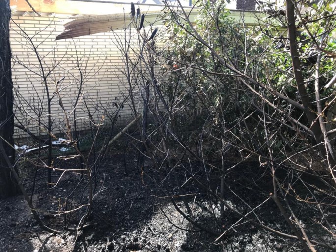 Brand in tuin slaat over op rieten dak: rookpluim van ver te zien
