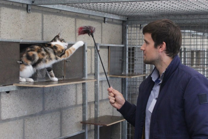 Dierenbescherming Mechelen viert 75ste verjaardag met ...