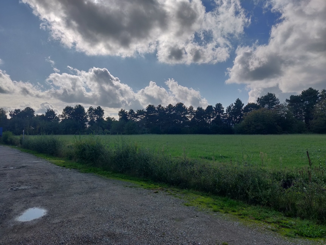 Uitvaartcentrum op komst naast kerkhof? (Nijlen) - Gazet van Antwerpen