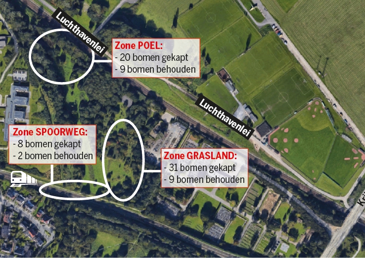 Waardevolle bomen in Klein Zwitserland worden niet gekapt: “Biodiversiteit is gegarandeerd” - Gazet van Antwerpen