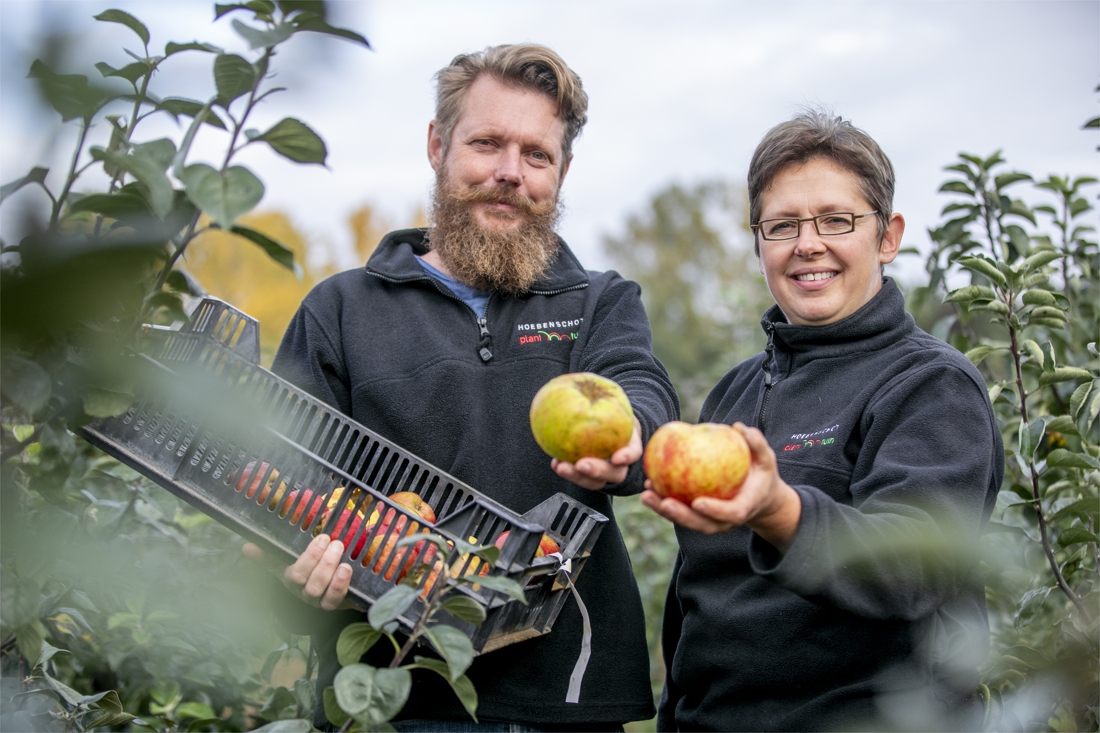 Hoebenschot geeft vergeten appels en peren tweede leven: “De eetbare tuin is helemaal terug” - Gazet van Antwerpen