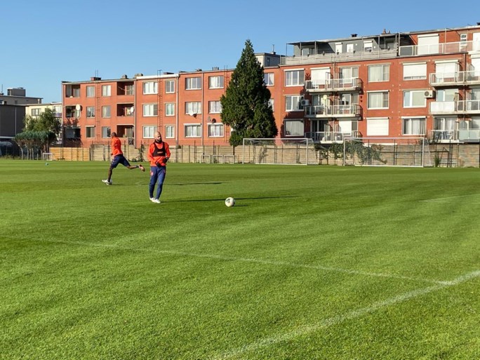 Antwerp-baas Gheysens voerde de druk op, Bölöni reageert: “Zegt de voorzitter dat het vijf voor twaalf is? Wel, hij heeft een horloge”