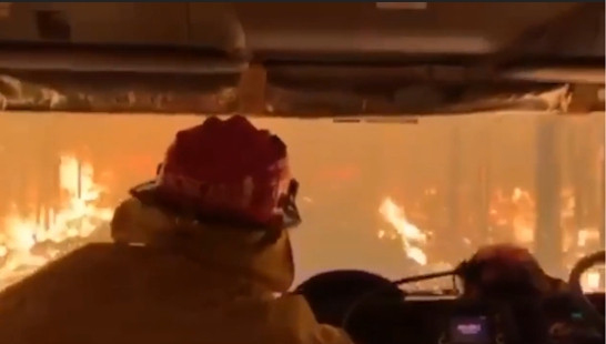 Doodeng: brandweer laat je meekijken tijdens rit in bosbrand - Gazet van Antwerpen
