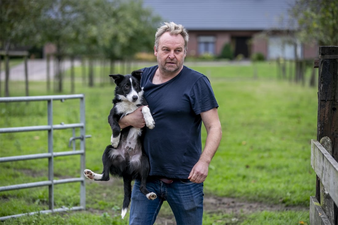 Chris Caerts, de schaapherder van de Kempen: 400 schapen, 15 honden en een B&B - Gazet van Antwerpen