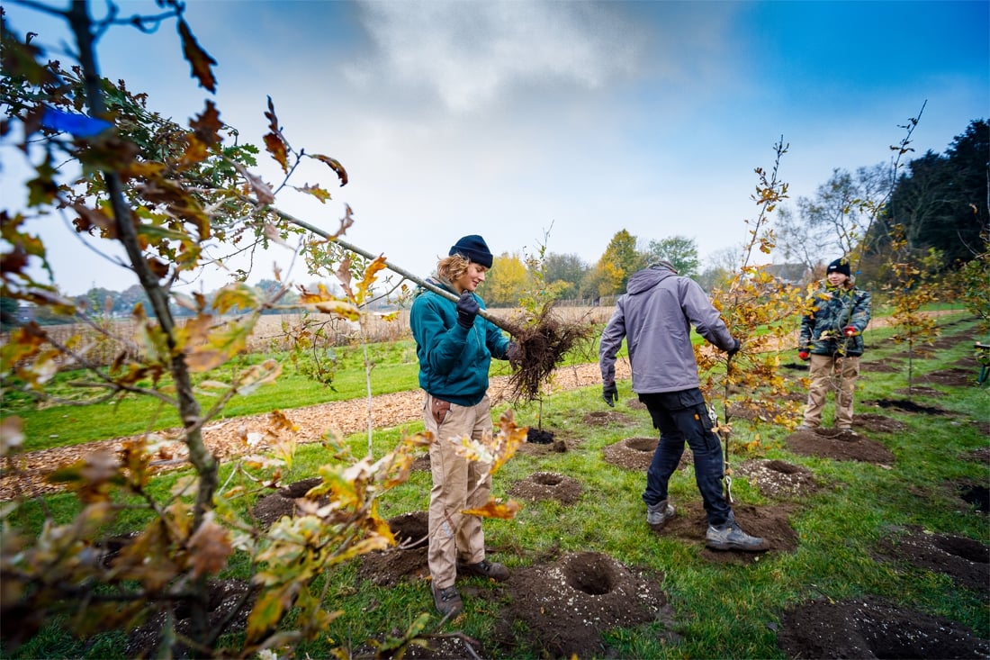 Kleuters en leerlingen planten buurtplek aan (Heist-op-den-Berg) - Gazet van Antwerpen