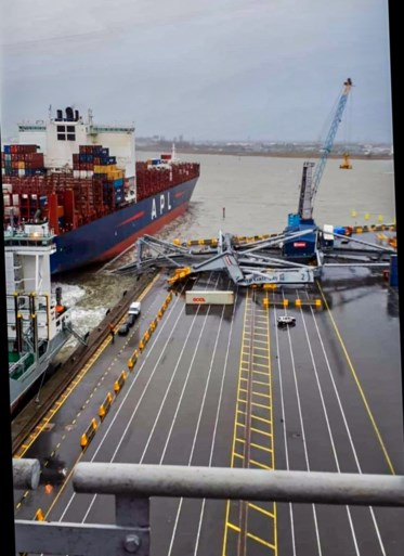 Op drift geslagen containerschip botst tegen kraan in Waaslandhaven: enorme ravage