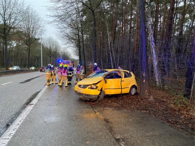 Bestuurder knalt tegen boom op Houtlaan in Schilde
