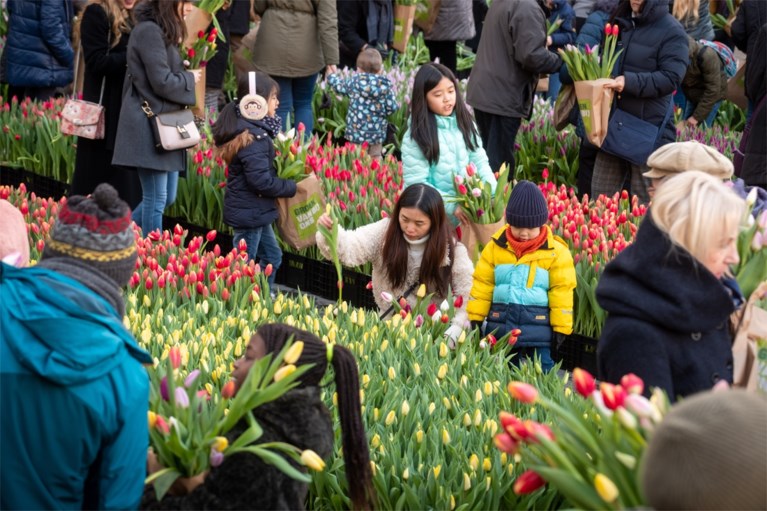 Grote tulpenpluk aan Centraal Station: 100.000 tulpen in amper drie uur allemaal weg