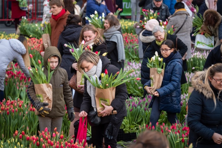 Grote tulpenpluk aan Centraal Station: 100.000 tulpen in amper drie uur allemaal weg